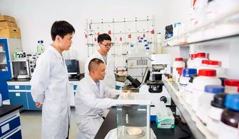 中國制造業(yè)第一縣聚力互聯(lián)網(wǎng)銷售轉(zhuǎn)型，新華日報(bào)頭版頭條聚焦產(chǎn)業(yè)升級新篇章